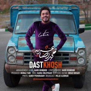 محمدرضا عشریه - دستخوش