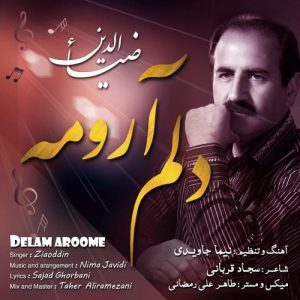 ضیاءالدین - دلم آرومه