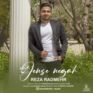 رضا رادمهر - جنس نگاه