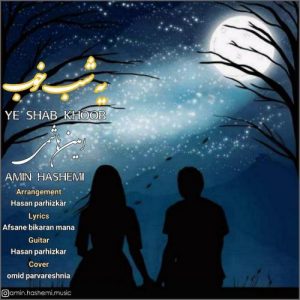 امین هاشمی - یه شب خوب
