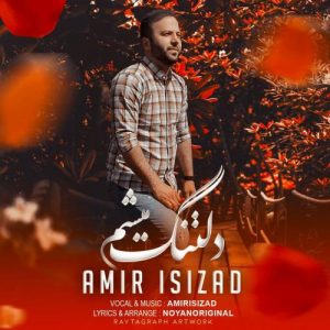 امیر ایسی زاد - دلتنگت میشم